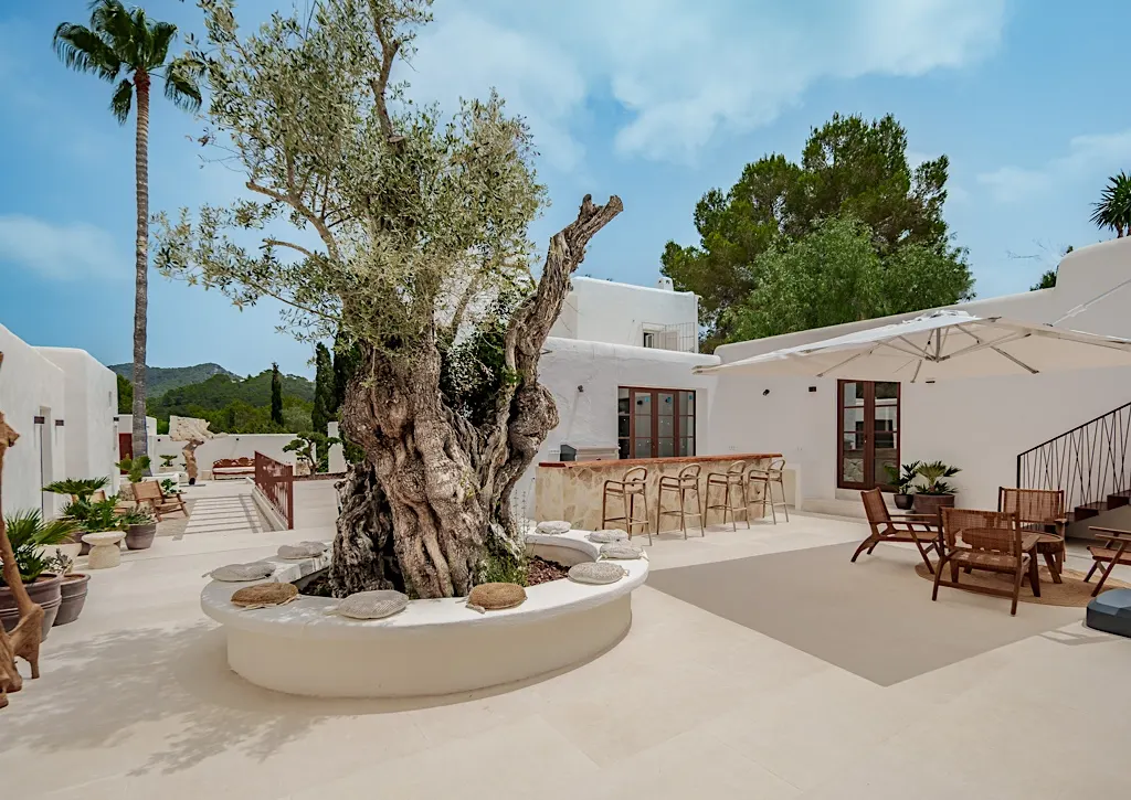 Casa Oasis — Cala Llonga, Ibiza (photo 4 of 30)